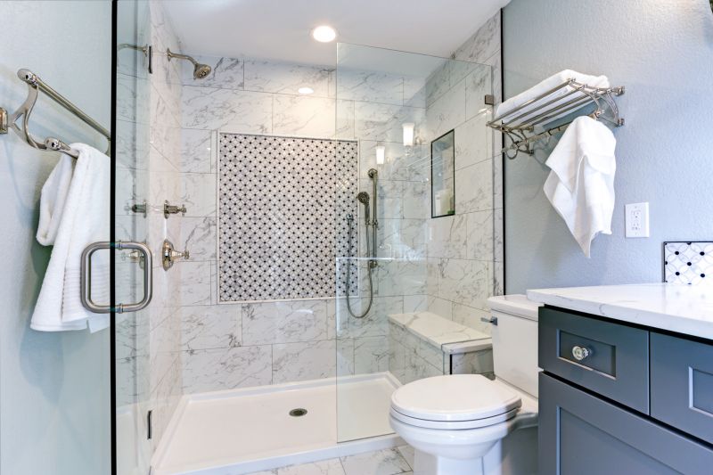 Shower Repair in Denver, CO